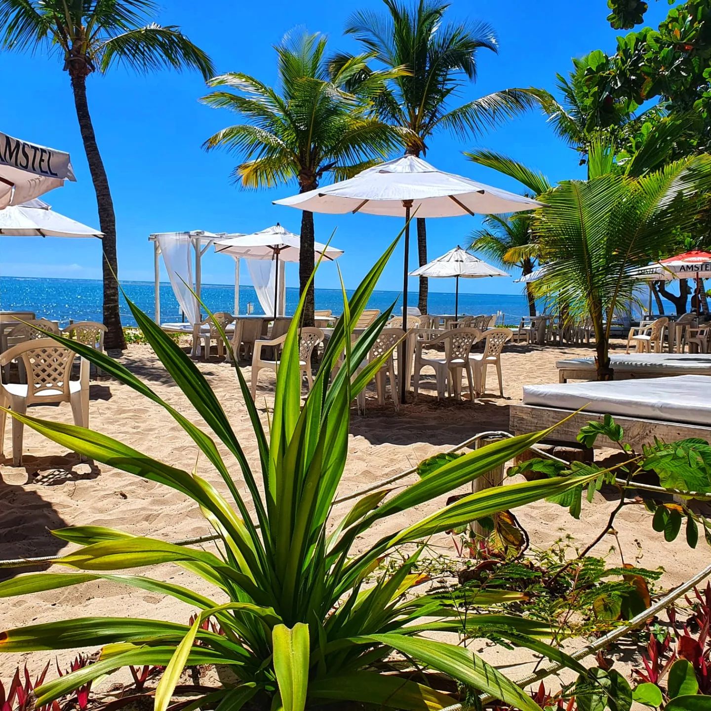 Mesas na areia com guarda-sóis brancos e vista para o mar